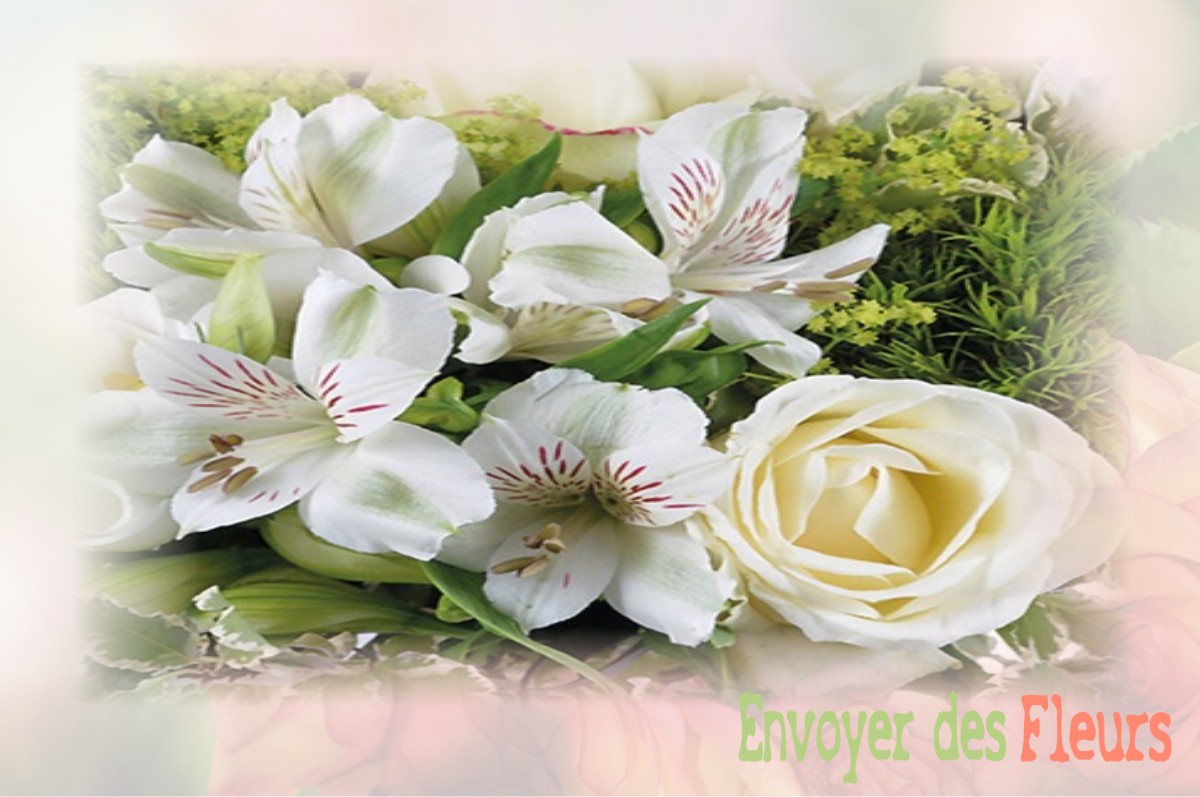 envoyer des fleurs à à VILLIERS-AU-BOUIN