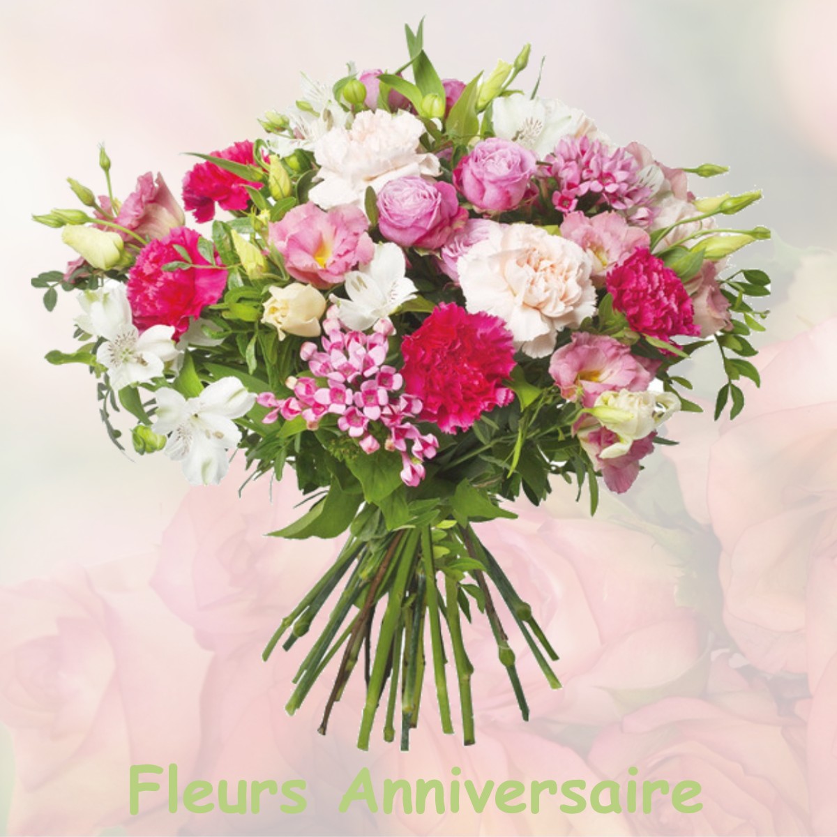 fleurs anniversaire VILLIERS-AU-BOUIN