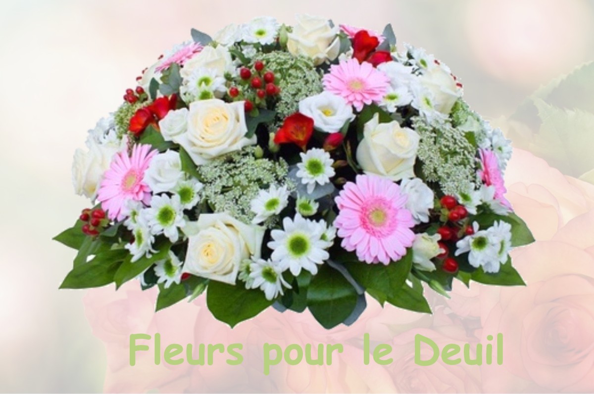 fleurs deuil VILLIERS-AU-BOUIN